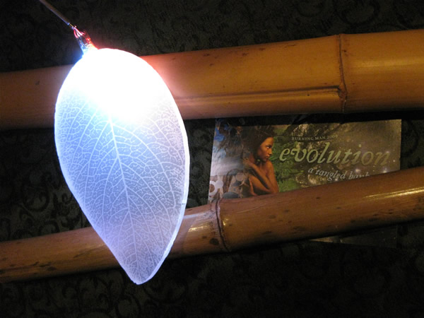 Plexiglas Leaf, LED Controller Board and Bamboo